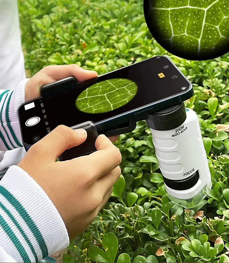 Microscope Enfant 60 - 180x - Kit Scientifique Éducatif Découverte Nature | Les Petiots™ - Les Petiots